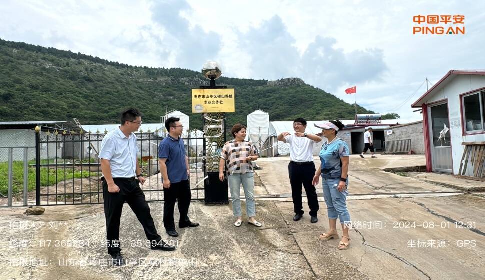 最新山亭厂的崛起与深远影响，深度剖析及启示