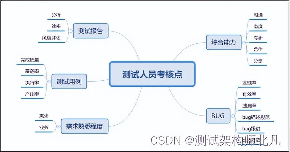 最新查题软件，心灵与自然的奇妙旅行探索